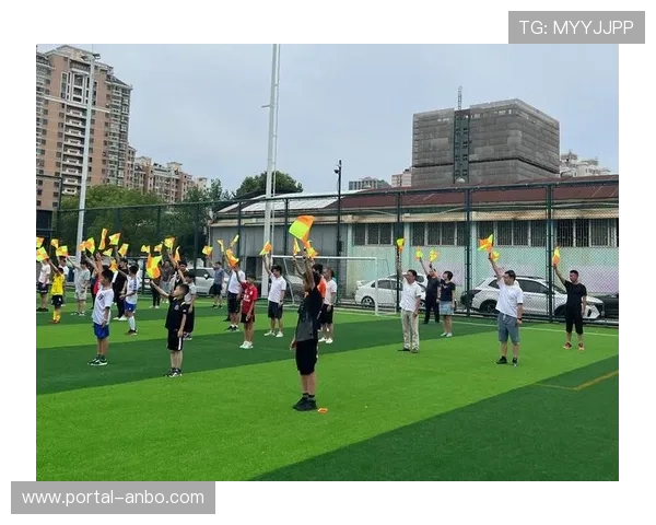 基层足球培训项目在法国多地展开，青少年参与度显著提升