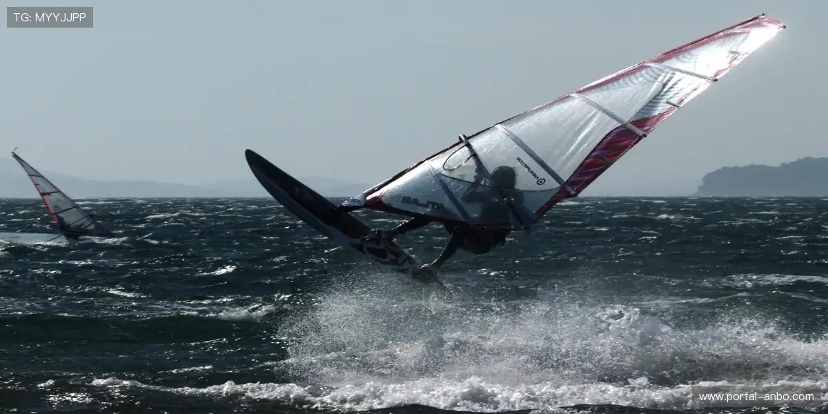 🔥球迷团声浪激荡，热情推动比赛升温！⚽